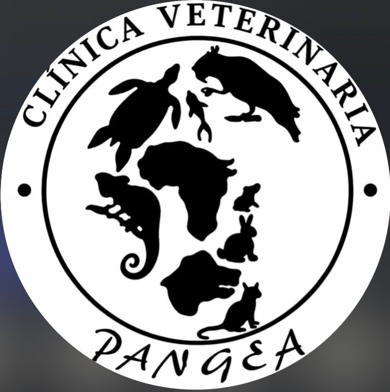 Clínica veterinaria Pangea